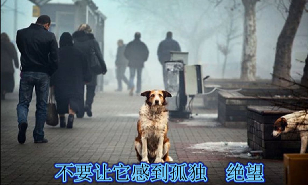 舟山舟山爱影圈微博微信转发案例
